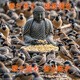 Donating bird food, small bird food, pigeons, outdoor bird food, donating sparrows and doves, outdoor feeding bird food, double the blessings, fine mixed merit food) eminent monk, thick merit, seven generations of merit, 10 Jin Jin is equal to 0.5 kg, package