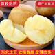 Shengmi Yellow Heart Potatoes, Fresh Potatoes, Yellow Skin Seasonal Vegetables, Full Box of High-quality Potatoes, Freshly Picked Delicious Vegetables, Box 9-10 Jin, Jin equals 0.5 kg, Freshly dug this year, Net weight 9 Jin, Jin equals 0.5 kg, Fresh