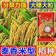 Original new species of Taixiang Youjiazhen, large spike fragrant rice, Thai fragrant rice with strong fragrance, long grain fragrant new rice seeds, new species of Taixiang Youjiazhen, 1Jin Jin is equal to 0.5kg *5 bags, original factory