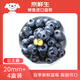 Jingxiansheng Imported Peruvian Blueberry Big Mac 20mm+ 4 boxes 125g/box fresh fruit straight from the source