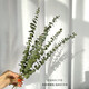Eucalyptus leaf dried flower bouquet, natural air-dried branches, light luxury creative DIY decorative material ornaments, original color eucalyptus
