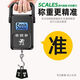 Zhang Chenguang endorses portable scale, electronic scale, high-precision mini portable scale, spring gram scale, convenient express luggage, grocery shopping, fish scale, hook scale, upgraded new model, portable battery model