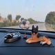 Yusenyi Car Aromatherapy 2025 New Year of the Snake Internet Celebrity Hot-Selling List Car Instrument Table Aircraft Perfume Ornaments High-end Men Solar Aircraft Aromatherapy-Balloon-Lif Dog-Cushion