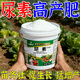 At the time when the flowers are blooming, urea fertilizer is a special fertilizer for vegetables, a compound fertilizer for vegetables, agricultural vegetables, orchards, and a universal compound fertilizer for flowers. 1 barrel of urea high-yield fertilizer