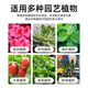 Urea Flower Fertilizer Nitrogen 46% Planting Flowers and Vegetables Potted Organic Fertilizer Nitrogen Fertilizer General Agricultural Landscaping Urea 3Jin Jin is equal to 0.5 kg Total Nitrogen 46%