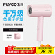 FLYCO negative ion hair dryer household quick-drying portable high-wind hot and cold air hair dryer FH6278