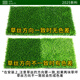 Fake turf simulated lawn green carpet outdoor artificial plastic artificial bionic outdoor insulation fence football field 2 cm newly upgraded encrypted high-quality spring grass 3 meters wide / 1 meter long How many meters long do you need to shoot?