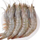 Jiang Qigong Fresh Sea-caught Extra Large White Shrimp Ecuadorian White Shrimp Frozen seafood kept fresh with ice Four Jin Jin is equal to 0.5 kg, packed Four Jin Jin is equal to 0.5 kg, packed large white shrimp 12-16 cm
