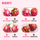 Jingxian Raw Guangxi Red Heart Pitaya Net Weight 4.5Jin Jin is equal to 0.5kg. Single fruit starts from 300g. Fresh Fruit Straight from the Source