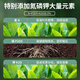 Deli nutritional soil universal flower growing soil succulent orchid soil peat soil planting soil flower growing vegetable potting soil 10L