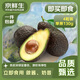 Jingxiansheng Chilean ready-to-eat avocado large fruit 4 pieces, single fruit starting from 130g, straight from the source, fresh fruit
