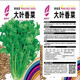 Four-season sowing of big-leaf coriander seeds, old farm varieties of coriander seeds, four-season balcony potted ground coriander seeds, coriander seeds, 3 packs, about 1500 pieces, original factory packaging