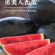 Watermelon set, watermelon seeds, watermelon balcony potted farmhouse garden melon seeds, various varieties, Black Beauty watermelon seeds, 2 packs, about 100 pieces