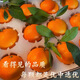 Jingmi Xiangshan Red Beauty Citrus Net Weight 4.5Jin Jin is equal to 0.5kg 12 pieces starting from 180g Ehime Jelly Orange Straight from the source