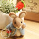Peter Rabbit wool felt poke fun material package diy mobile phone chain dust plug bunny ornament wooden pile ornament material package