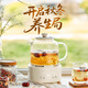Bear all-glass body health pot thermostatic kettle office multifunctional teapot flower teapot 0 metal health cup 24h reservation 24h heat preservation 1L YSH-J10D1 filter type 1L