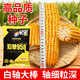 Zhangye, Gansu Wholesale high-yielding nationally approved Zhengdan 958 corn seeds, short stems, large sticks, lodging and pest resistance Zhengdan 958 nationally approved corn seeds 1Jin Jin equal to 0.5kg 1 bag