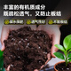 Deli nutritional soil universal flower growing soil succulent orchid soil peat soil planting soil flower growing vegetable potting soil 10L