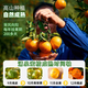Uncle Sam's Authentic Linhai Yongquan Tangerine, Next Day Delivery to Many Places, Seedless Tangerine Orange Fruit Gift Box, Best Selling* Premium Fruit, Fruit Circumference 50-60mm, Super Sweet, Alpine Old Tree Fruit, 5 Jin Jin is equal to 0.5 kg, Gift Box, Carefully Selected by Farmers, Net 4.5