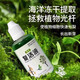 Plant and flower resurrection liquid is specially designed for the yellowing of plant stems and leaf loss. It is a fast-growing, active rooting liquid that strengthens seedlings. Plant resurrection liquid 50ml*2 bottles, early adopter pack.