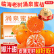 京地达浙江临海涌泉蜜桔新鲜水果橘子桔子重9.2斤单果65mm源头直发包邮