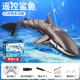 He Jiangong children's dinosaur toy boy black technology Cang Mosasaurus can get off the water submarine remote control boat with camera electric great white shark - black light water spray + exquisite gift box two batteries upgraded encryption waterproof + remote control battery + luxury accessories
