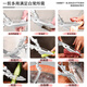 Chuangjingxin wählt deutsche Qualitätsküchenscheren, Küchenscheren, multifunktionale Haushaltsscheren mit starken Knochen, ultrascharfen, lebensmittelspezifischen Edelstahl, verbesserte Verdickung und nicht scharfe, starke Knochenscheren inklusive.