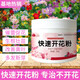 Genuine fast flowering powder phosphorus fertilizer for flower cultivation, bougainvillea, camellia potted plants, general flowering promotion, gardening home use, fast flowering powder 250g/2 bottles (free spoon)
