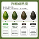 Jingxiansheng Chilean ready-to-eat avocado large fruit 4 pieces, single fruit starting from 130g, straight from the source, fresh fruit