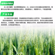 28 table high brassinolide plant growth regulator to protect flowers and fruit trees Yuntai lactone foliar fertilizer pesticide 500g*1 bottle