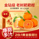 Xuji-Mandarine Authentische Sichuan-Chunjian-Mandarine Hässliche Orange Frisches Obst Schwangere Frauen Süße Orange Orange Neujahrsfest 5Jin Jin entspricht 0,5 kg Süße Frucht Einzelne Frucht 80-90 mm Nettogewicht 4,5 Jin Jin entspricht 0,5 kg