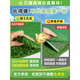 Fake lawn, simulated green turf carpet, outdoor bedding, bionic artificial plastic, artificial outdoor kindergarten football field 2.0cm, outdoor encrypted model 2mX25m_50 square meters
