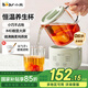 Bear Mini Health Pot Office One Person Health Cup Small Full Glass Thermostatic Kettle Insulated Electric Coaster Flower and Fruit Tea Boiling Water Electric Kettle Autumn and Winter Health Gifts Recommended YSH-F04E1 All Glass Cup 0.4L With Filter Ladle