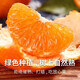 酸甜云南新鲜青橘孕妇青皮当季无籽橘子桔子薄皮水果多汁一整箱 带箱1斤50-60mm