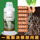 Mengshenggen stock solution, powerful rooting and seedling transplanting, fruit, vegetable, flower and green plant root-promoting microbial root-strengthening fertilizer. Mengshenggen stock solution 500g*1 bottle