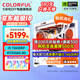 Colorful Orange Cat customized host Core i5 13400F RTX5060Ti graphics card desktop computer 4060Ti chicken game AI live broadcast design DIY assembly machine equipped with five丨13600KF丨RTX5060 8G丨16GB memory