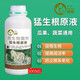 Mengshenggen stock solution, powerful rooting and seedling transplanting, fruit, vegetable, flower and green plant root-promoting microbial root-strengthening fertilizer. Mengshenggen stock solution 500g*1 bottle