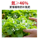 Urea Flower Fertilizer Nitrogen 46% Planting Flowers and Vegetables Potted Organic Fertilizer Nitrogen Fertilizer General Agricultural Landscaping Urea 3Jin Jin is equal to 0.5 kg Total Nitrogen 46%