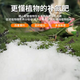 Urea nitrogen fertilizer for growing flowers, vegetables, fruit trees, green plants, household potted fields, general-purpose compound fertilizer, large package of chemical fertilizer, total nitrogen 46% 20Jin Jin equals 0.5 kg