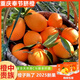 Nongdingdong Brand Orchard Ventes directes Chongqing Fengjie Navel Orange Newhall Coffret cadeau de fruits Magasin phare officiel de haute qualité Gros fruits à manger soi-même Diamètre de fruits 75-85 10 Jin Jin équivaut à 0,5 kg Coffret cadeau exquis