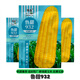 Wangyuan Xinglutian 932 corn seed national approval sweet waxy corn seed high-yield big stick fresh sweet glutinous corn seed field (15g 2 bags) Lutian 932