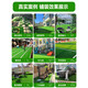 Fake lawn, simulated green turf carpet, outdoor bedding, bionic artificial plastic, artificial outdoor kindergarten football field 2.0cm, outdoor encrypted model 2mX25m_50 square meters