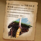 雷允上野生冬虫夏草4根/g 50g约200根西藏那曲虫草礼盒高端送领导