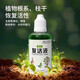 Plant and flower resurrection liquid is specially designed for the yellowing of plant stems and leaf loss. It is a fast-growing, active rooting liquid that strengthens seedlings. Plant resurrection liquid 50ml*2 bottles, early adopter pack.