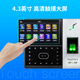 Zktecozkteco/энтропийная технология IFACE702-S Face Persint Protectance Machine Высокоскоростная идентификация и регистрация машины для контроля сенсорного экрана.