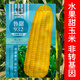 Wangyuan Xinglutian 932 corn seed national approval sweet waxy corn seed high-yield big stick fresh sweet glutinous corn seed field (15g 2 bags) Lutian 932
