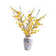Wintersweet fresh cut flower Australian snow willow hydroponic plant indoor living room desktop New Year's Eve flower potted plant shipped with buds selected wintersweet branches 40-50 cm 4 branches + nutrient solution
