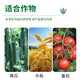 30% metalaxalin for cucumber wilt, fruit tree root rot, root rot, special pesticide bad soil 100g*2 bottles
