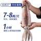 Yunchu Life Big Squid Whole Extra Large Fresh Fresh Frozen Squid Teppanyaki BBQ Hot Pot Ingredients Net Weight 7-8 Liang/Piece*2