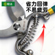 Shengda gardening scissors, special scissors for branch cutting, floral scissors, household garden pruning flowers, branches, fruit tree pruning shears 8 inches